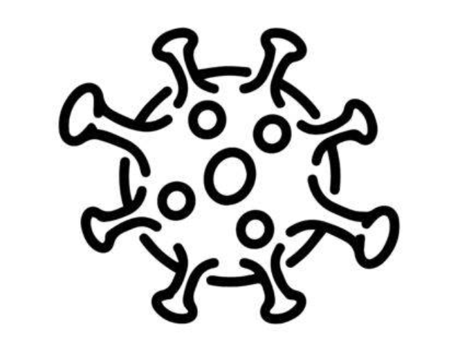 The Pandemic - COVID-19