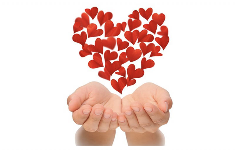 The Pure Power of Passion - Flowers in heart shape hovering over hands