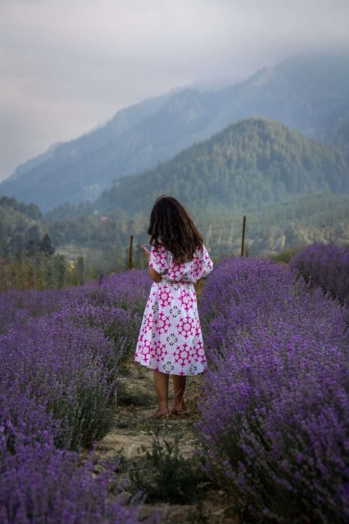 pexels-umut-dağli-17462809