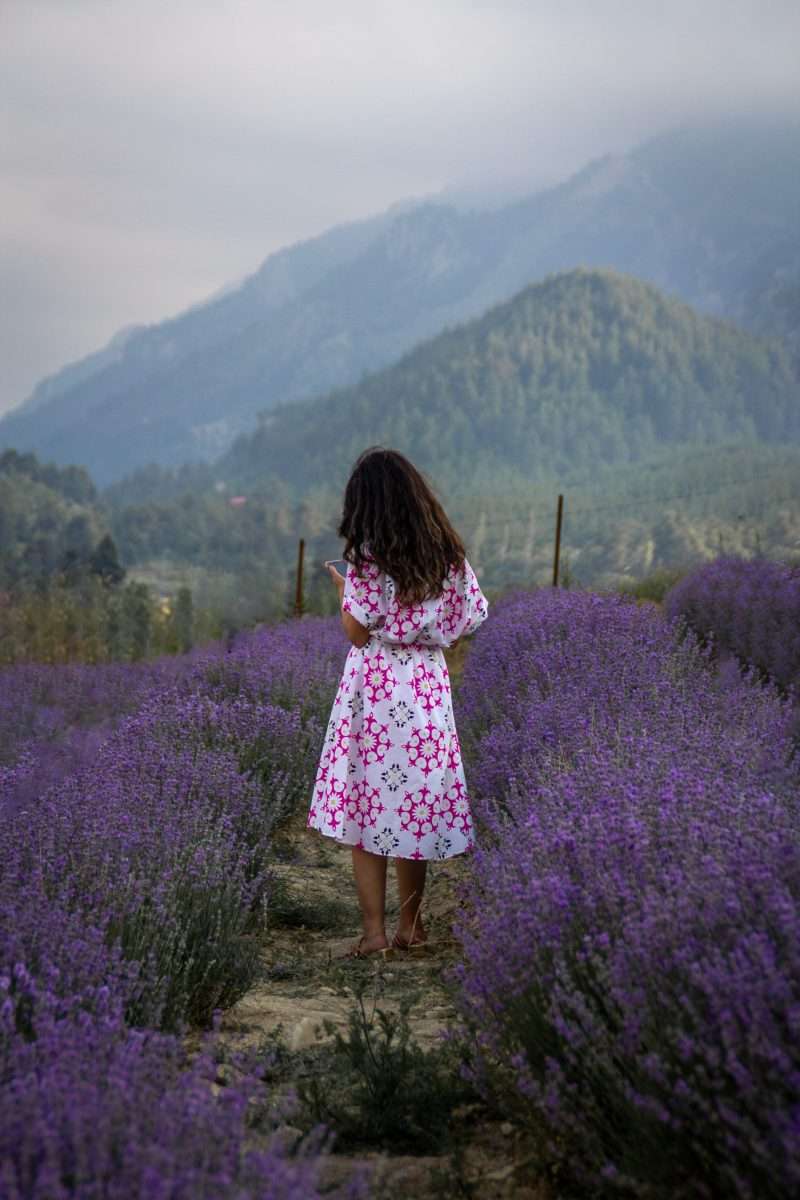 pexels-umut-dağli-17462809