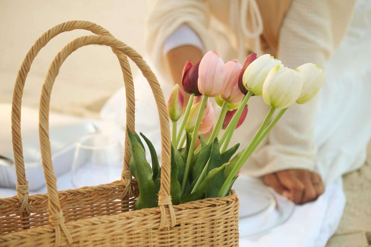 Elegant Beachside Picnic with Tulips in Basket 