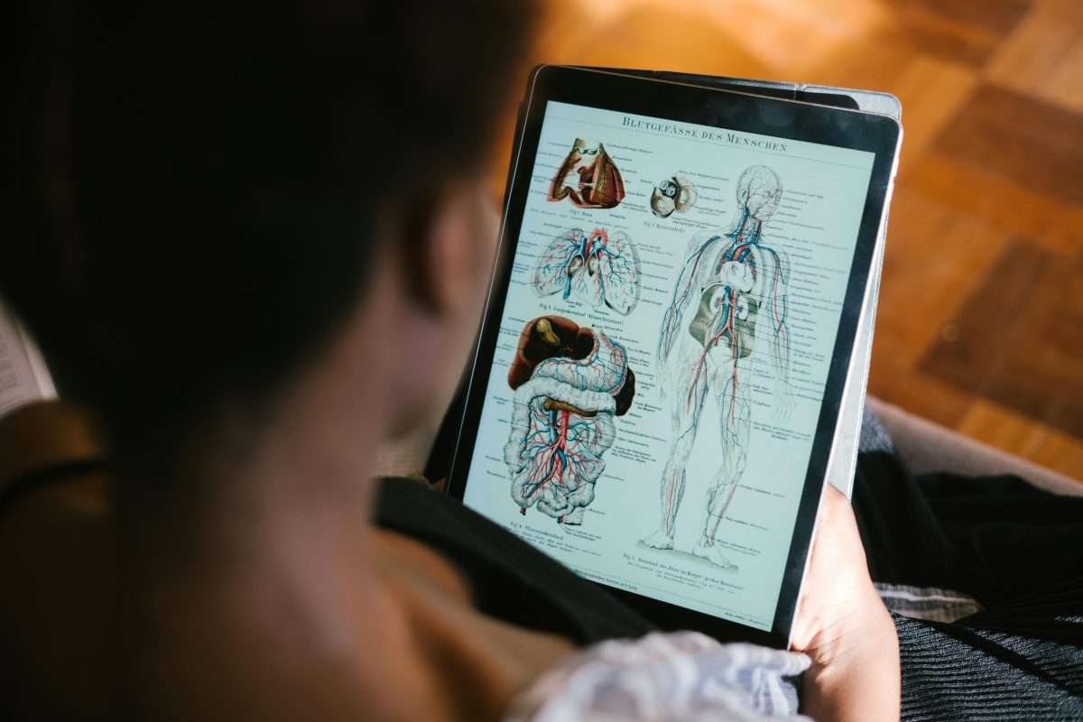 boy on an ipad screen looking at human anatomy diagram