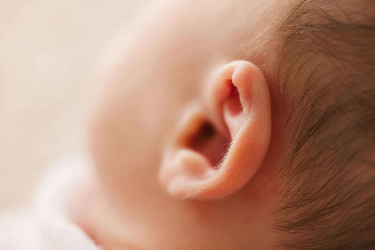 newborn baby's ear